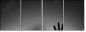 65905170