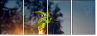 65958619