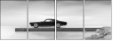 66242450