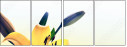 66709421