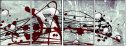 66720090