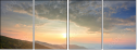 66845311