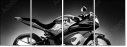 66895628