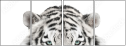 67172414