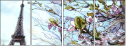 67495105