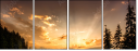 67616317