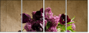 67654847