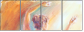67769560