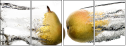 67849478
