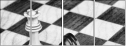 67855650