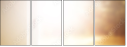 67987678