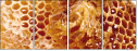 68182564
