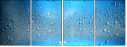 68296210