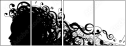 68369246