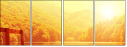 68616256