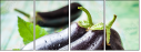 68628589