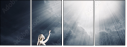 68660248