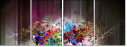 68720496