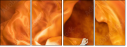 68781470