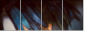68796716