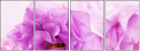 68847912