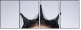 68880245