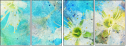 68906005