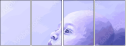 68948444