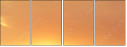 69150407