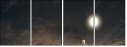 69184164