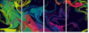69217682