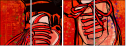 69259558