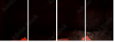 69305872