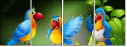 69310378