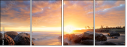 69429310