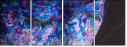 69457575