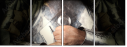 69546353
