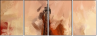 69563598