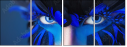 69641172