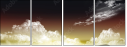 70329785