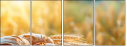 704903760