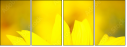 70553705