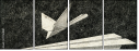 70764881