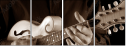 70882900