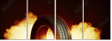 71231906