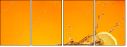 71566092
