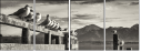 72072664