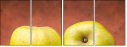 72103606