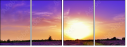 72306862