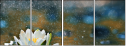 72576012